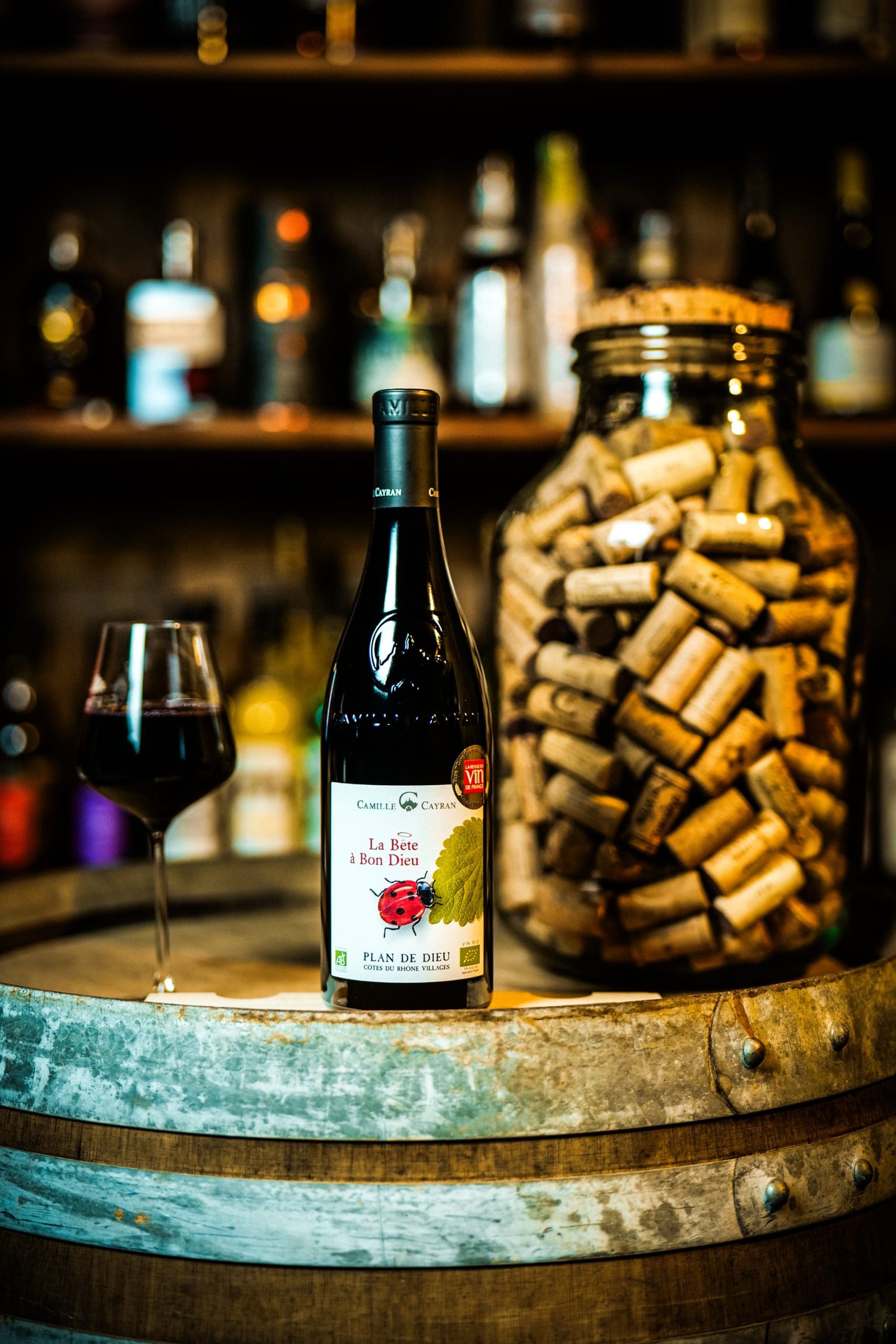 Côtes du Rhône village - Plan de Dieu BIO