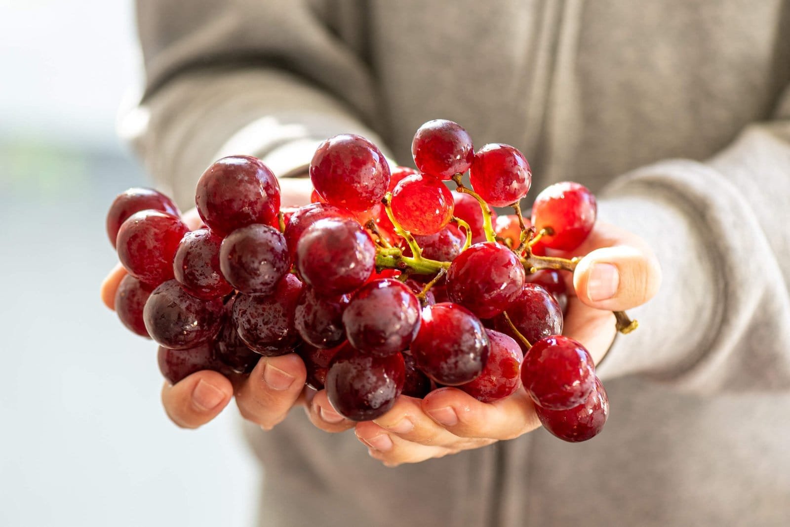 Les vins de la vallée du Rhône : Une richesse inégalée